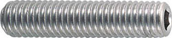 TRUS-B450606