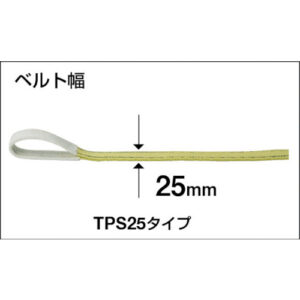 780-TPS2510